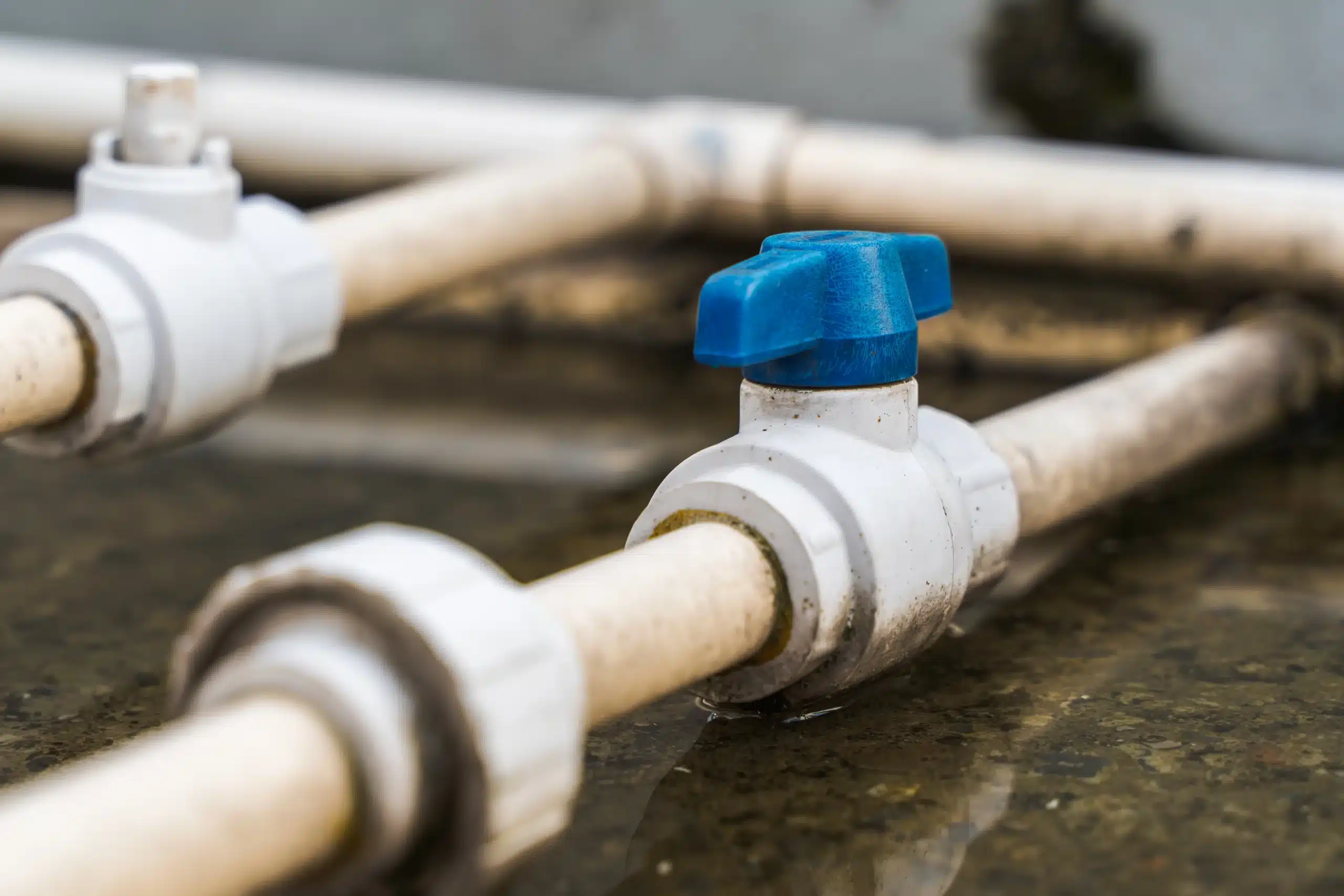 water pipes